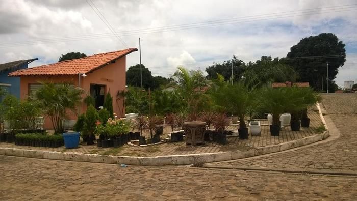 Inauguração K & M Paisagismo na cidade de Água Branca - Imagem 11