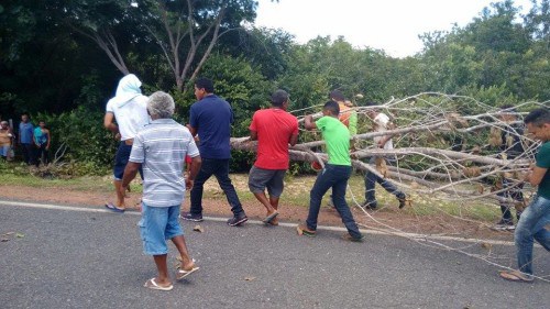 Moradores fazem protesto para dar visibilidade ao desaparecimento de rapaz em Palmeirais - Imagem 11
