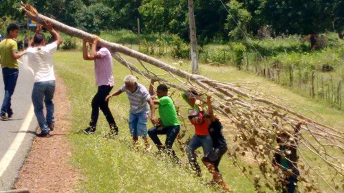 Moradores fazem protesto para dar visibilidade ao desaparecimento de rapaz em Palmeirais - Imagem 3