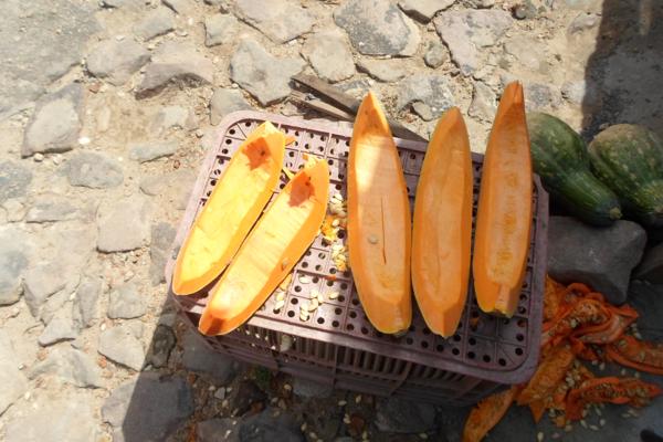 Movimentação feira livre de Amarante - Imagem 13