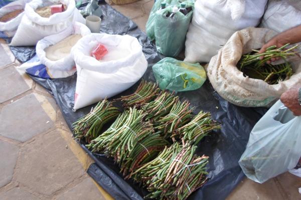 Movimentação feira livre de Amarante - Imagem 2