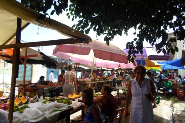 Movimentação feira livre de Amarante - Imagem 17