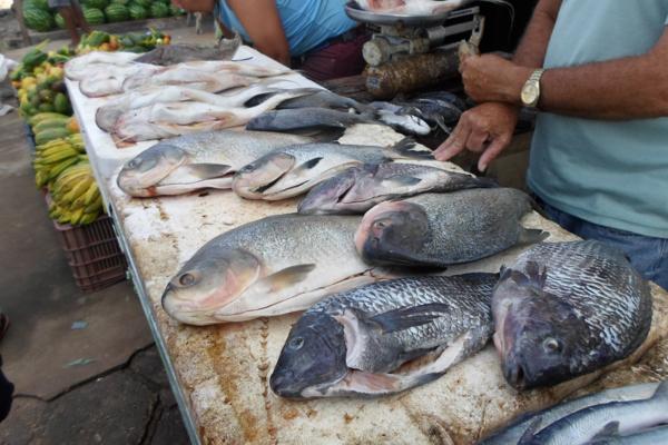Movimentação feira livre de Amarante - Imagem 8