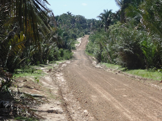 Gustavo Medeiros inaugura mais uma estrada no interior de União - Imagem 5