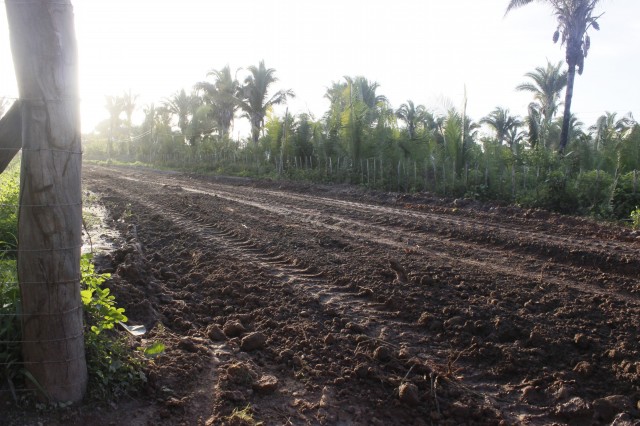 Prefeitura recupera mais 15 km de estradas na zona rural de Miguel Alves  - Imagem 5