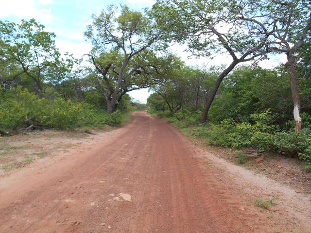 Câmara Municipal de Ipiranga Está Mais Atuante em 2015 - Imagem 16