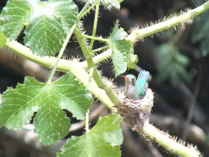 Curso de Rapel em DEL será cena de filme com coprodução Brasil/Uruguai - Imagem 18