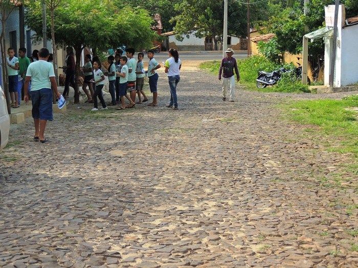 Milton Brandão realiza operação de limpeza no combate a Dengue - Imagem 8