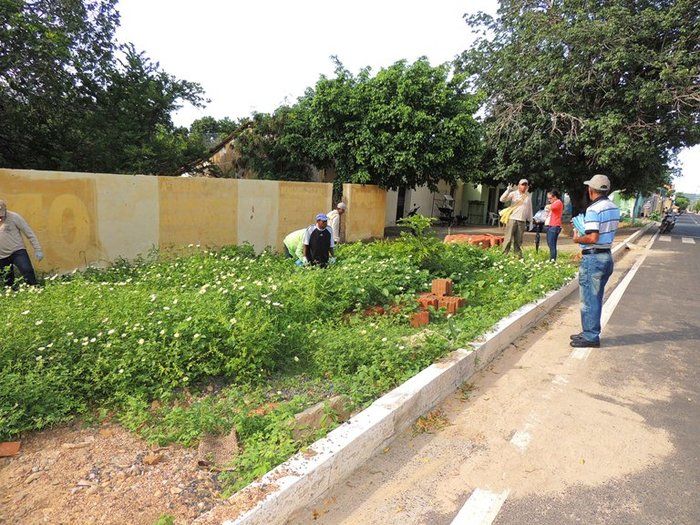 Milton Brandão realiza operação de limpeza no combate a Dengue - Imagem 2