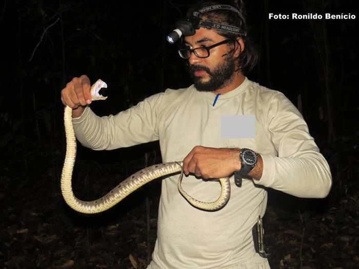 Novas pesquisas para o município de Barras do biólogo Ronildo Benicio - Imagem 2