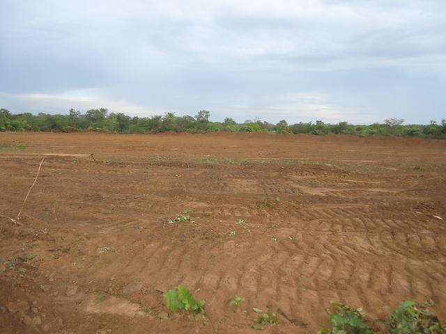 Comissão Municipal Visitou Obras na Localidade Brejo da Fortaleza - Imagem 27
