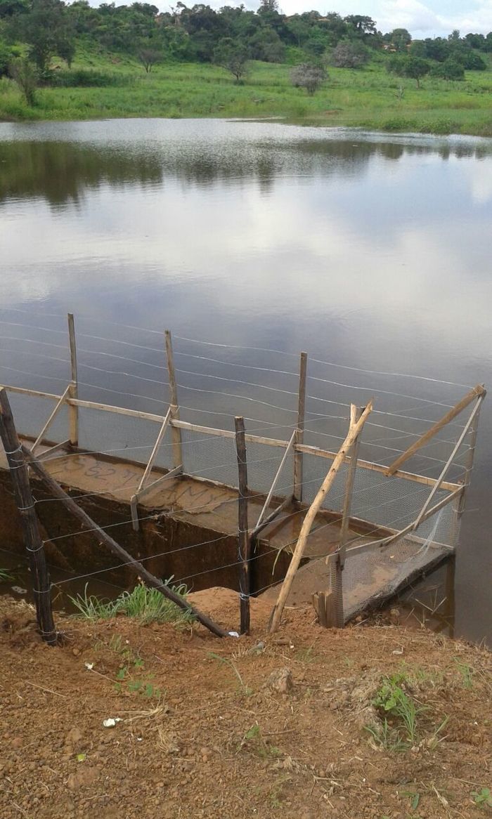 Moradores de Francinópolis comemoram a sangria do açude do peixe - Imagem 2