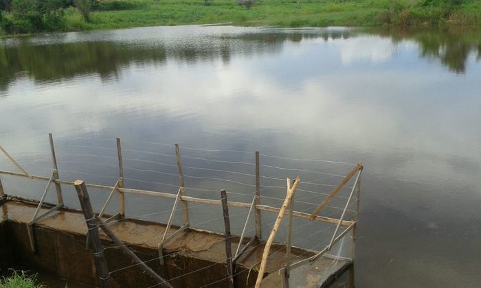 Moradores de Francinópolis comemoram a sangria do açude do peixe - Imagem 3