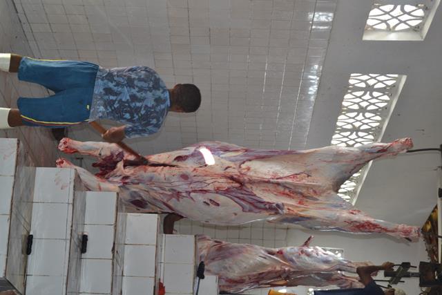 Subseção da OAB de Valença visita matadouro e pede melhorias - Imagem 4