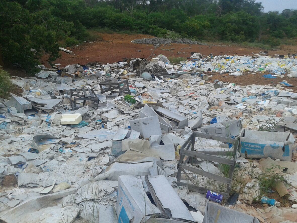Terreno a poucos metros do aterro sanitário de Oeiras vem sendo usado como lixão
