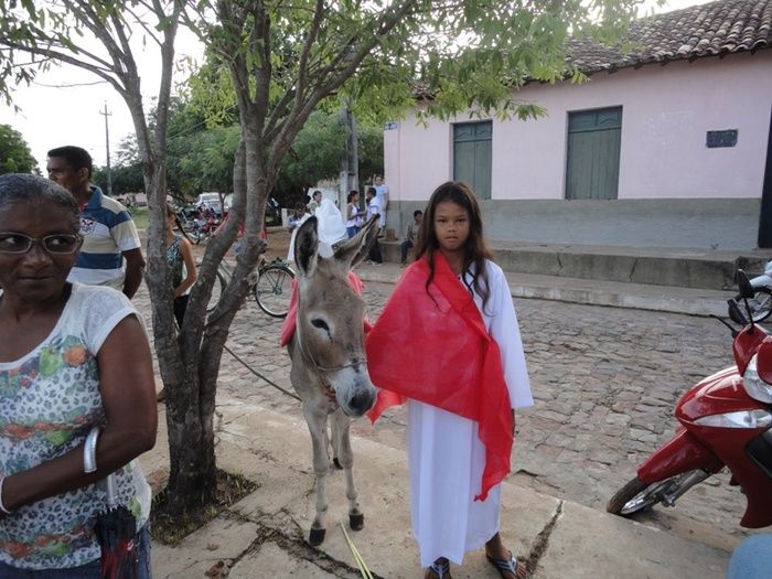 Paróquia inicia Semana Santa com Missa de Domingo de Ramos - Imagem 1