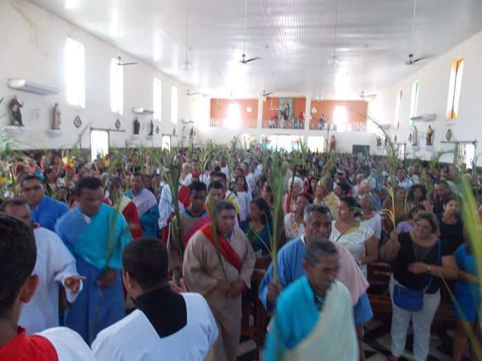 Domingo de Ramos marca inicio da Semana Santa - Imagem 5