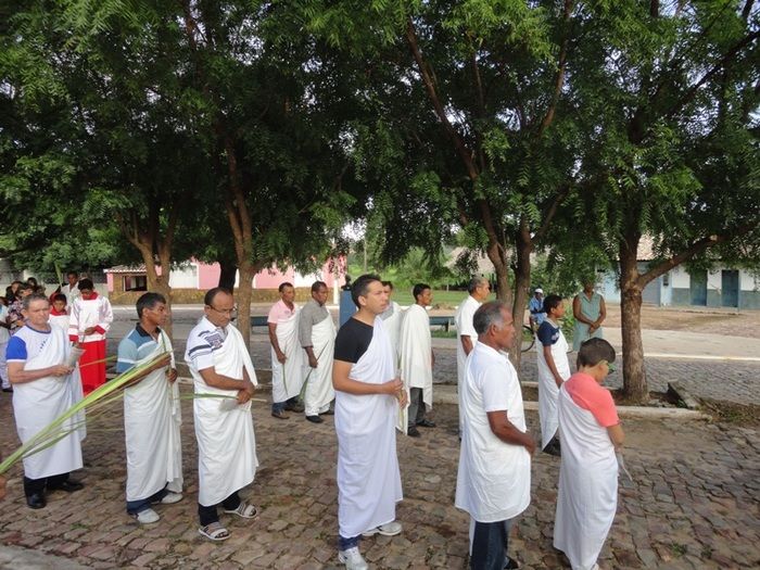Paróquia inicia Semana Santa com Missa de Domingo de Ramos - Imagem 12
