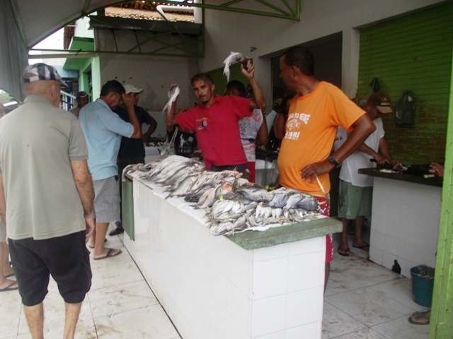 Quaresma movimenta o Mercado do Peixe de Campo Maior - Imagem 1