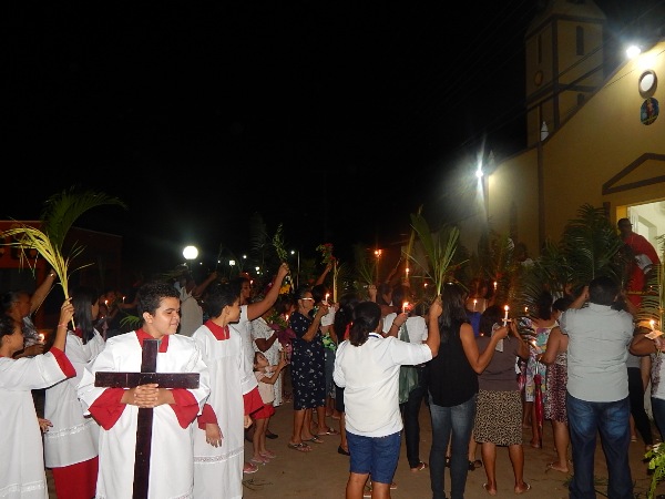 Fieis participam da Procissão de Ramos em Lagoinha  - Imagem 5