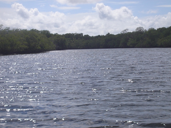 Rota Ecológica de Cajueiro da Praia vai gerar emprego e renda para os jovens, diz prefeita Vânia Ribeiro - Imagem 5
