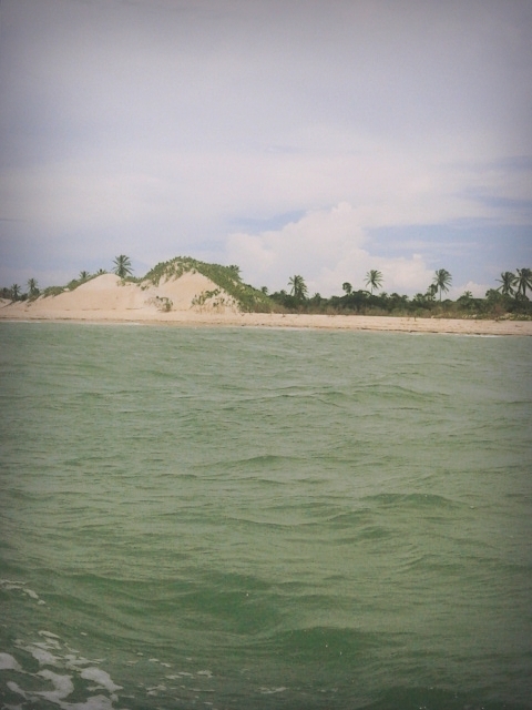 Rota Ecológica de Cajueiro da Praia vai gerar emprego e renda para os jovens, diz prefeita Vânia Ribeiro - Imagem 10