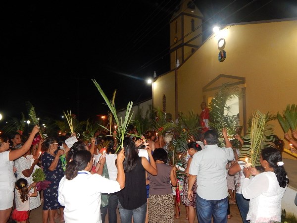 Fieis participam da Procissão de Ramos em Lagoinha  - Imagem 6
