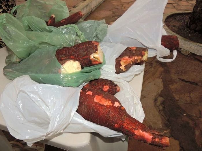 Feira da Fartura atrai diversas pessoas à procura de comprar produto sem agrotóxico e de qualidade - Imagem 7