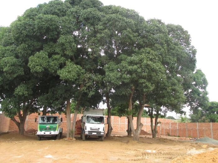 Prefeitura Constrói Garagem para abrigar frota de veículos do Município   - Imagem 6