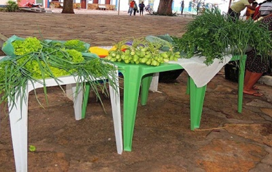 Feira da Fartura atrai diversas pessoas à procura de comprar produto sem agrotóxico e de qualidade