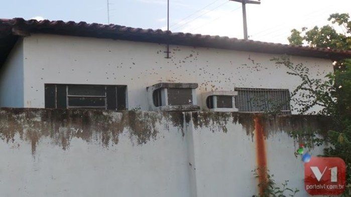 Chuva de Bala na Cidade de Pimenteiras do Piaui - Imagem 1