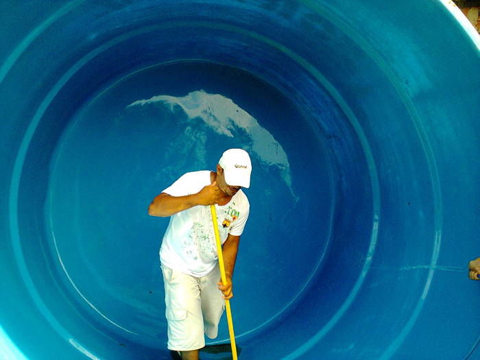 Vigilância Sanitária de Regeneração em ação  - Imagem 1