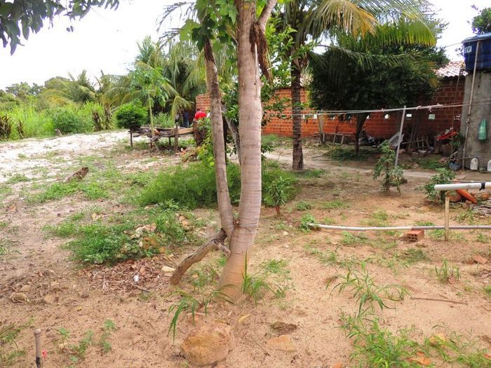 O melhor investimento com retorno certo - Imagem 24