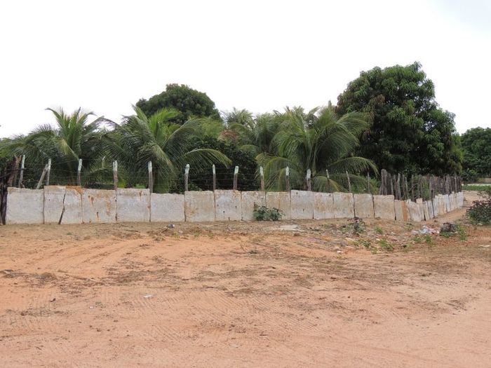 O melhor investimento com retorno certo - Imagem 47