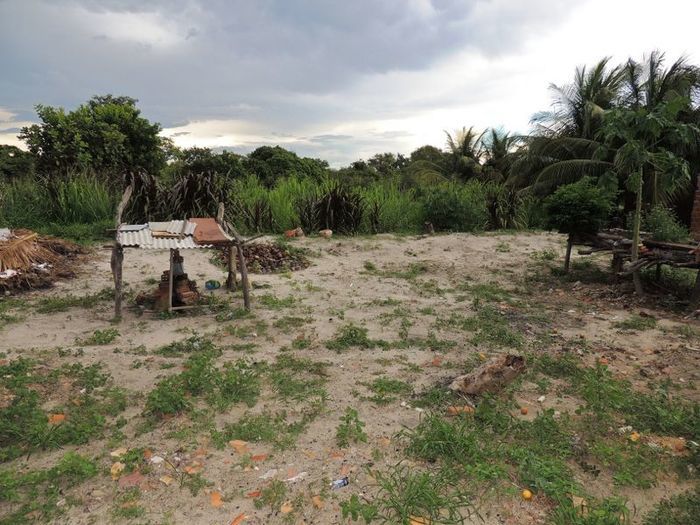 O melhor investimento com retorno certo - Imagem 26