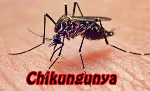 Agentes do setor de endemias farão mobilização contra a dengue e chikungunya na cidade - Imagem 2
