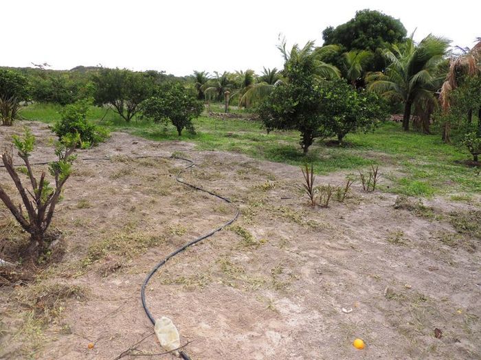 O melhor investimento com retorno certo - Imagem 39