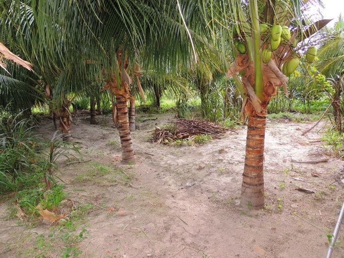 O melhor investimento com retorno certo - Imagem 29