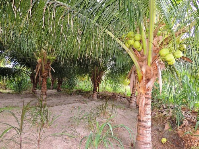 O melhor investimento com retorno certo - Imagem 45