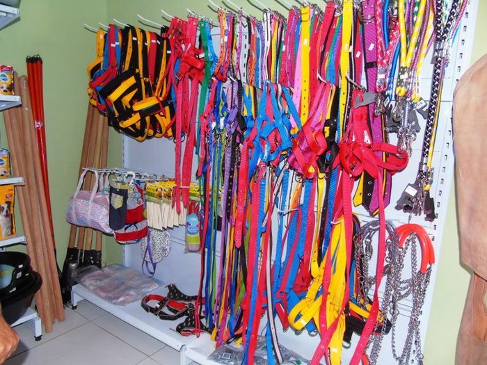 Agromax abre suas portas e nas primeiras horas vendas  superam expectativas  - Imagem 8