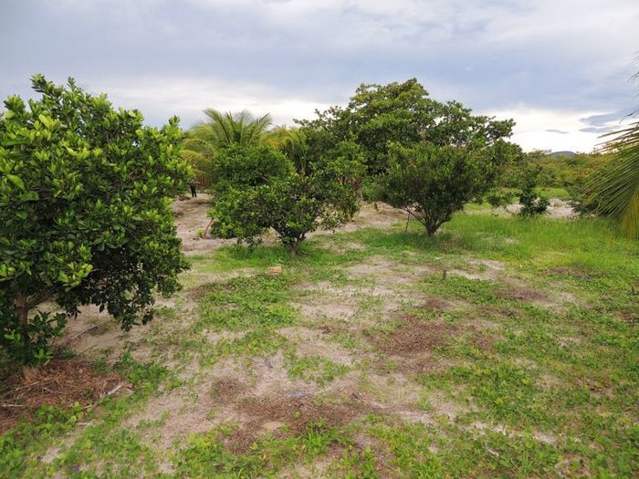 O melhor investimento com retorno certo - Imagem 41