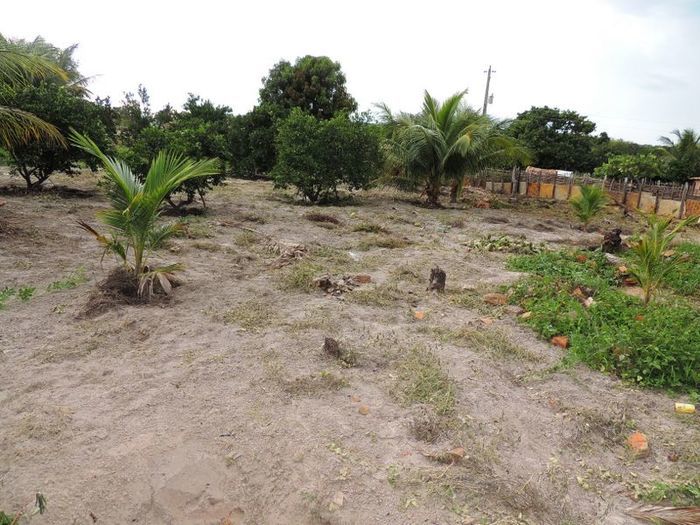 O melhor investimento com retorno certo - Imagem 34