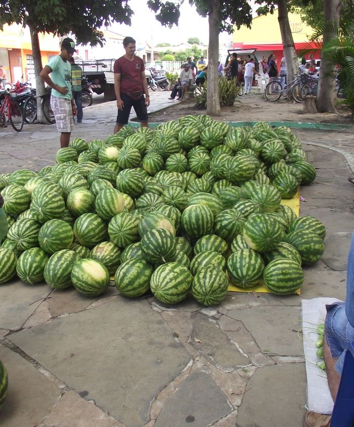 Meio Norte-Piripiri - Feira de Agricultura Familiar no município de Piripiri  - Imagem 5