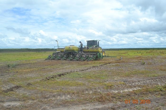 Começa plantio de Soja na Fazenda São Luiz, em Boa Hora. - Imagem 10