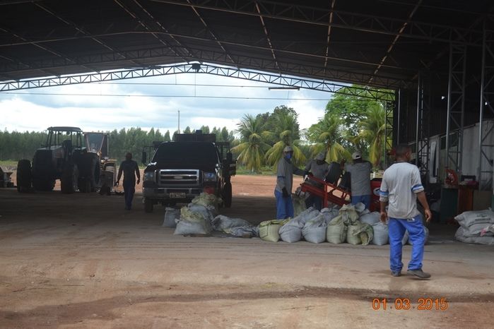 Começa plantio de Soja na Fazenda São Luiz, em Boa Hora. - Imagem 25