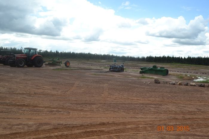 Começa plantio de Soja na Fazenda São Luiz, em Boa Hora. - Imagem 21