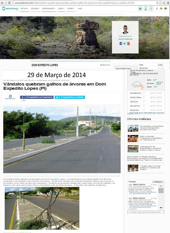 Vândalos quebram árvores em Dom Expedito Lopes (PI) - Imagem 2