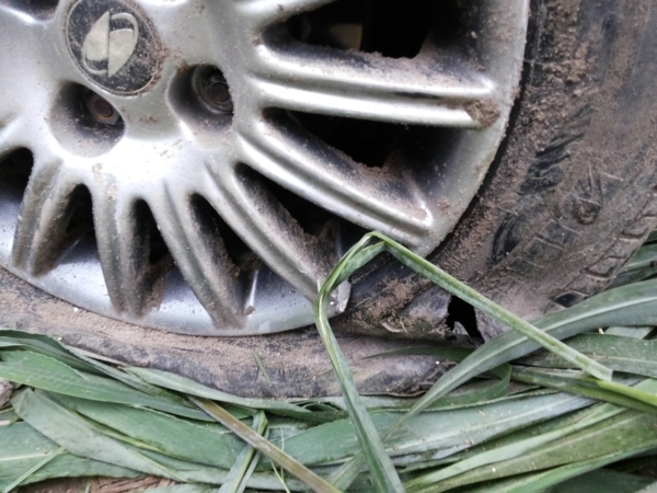 Meio Norte - Piripiri: Grave acidente na Avenida Aderson Ferreira no município do interior - Imagem 1