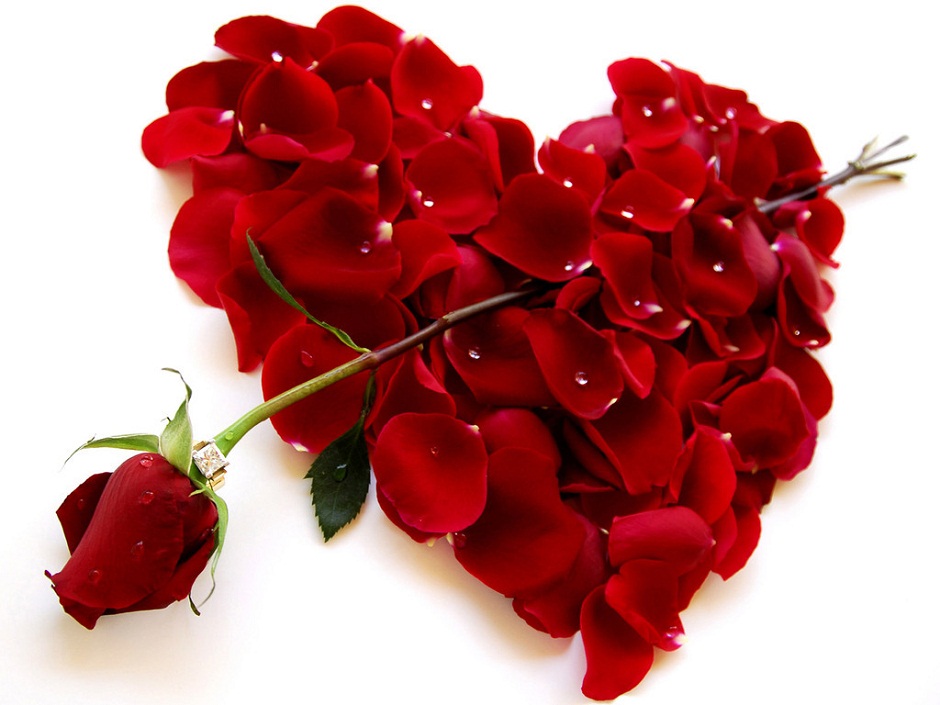 Mulher parabéns pelo seu dia