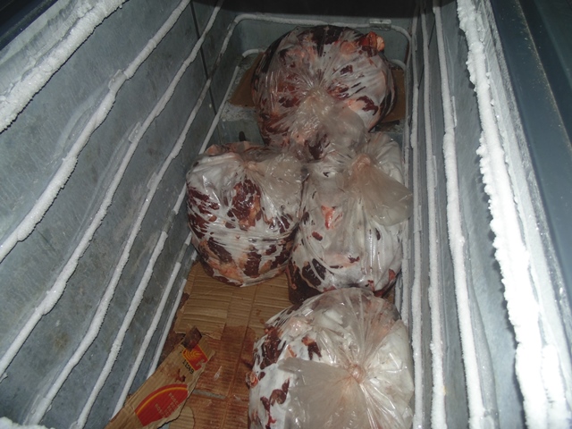 Merenda escolar incentiva produção local e evita a evasão escolar em União - Imagem 4